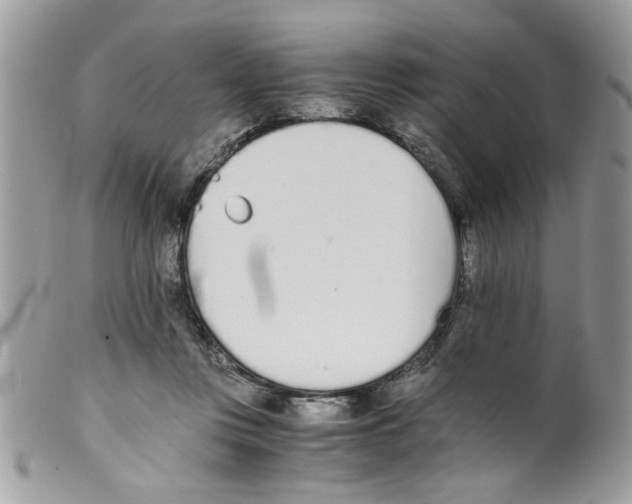 X0000098140359200805151146