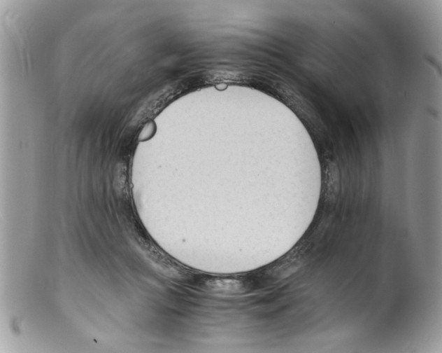 X0000098140361200805151146