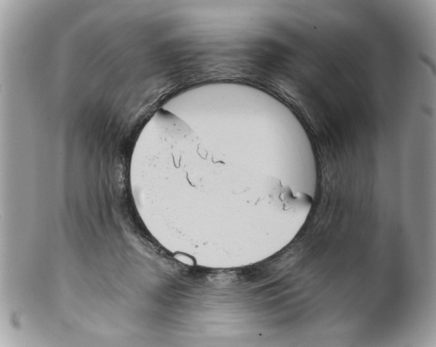 X0000098140362200805151146