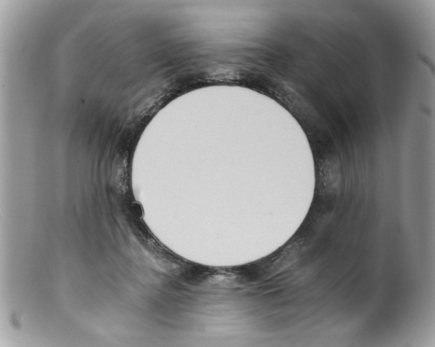 X0000098140364200805151146