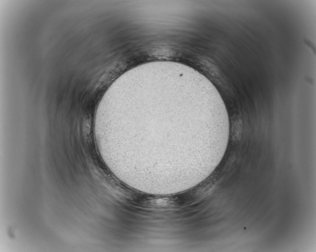 X0000098140365200805151146