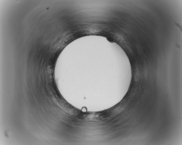 X0000098140366200805151146