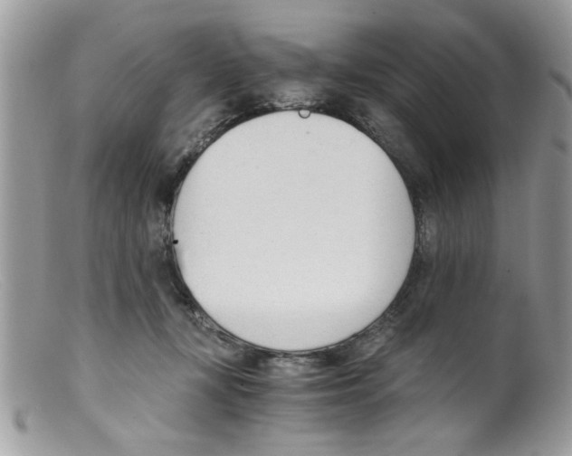 X0000098140367200805151146