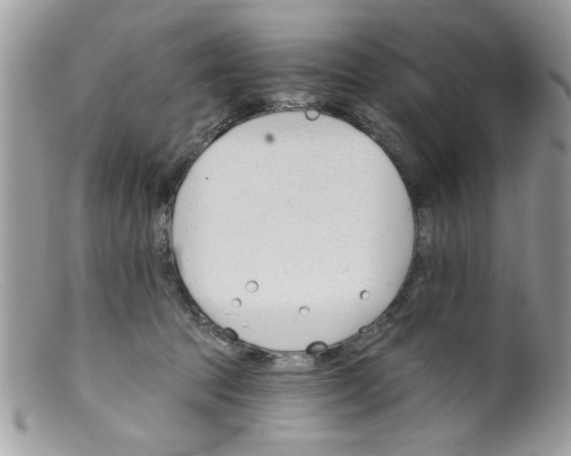 X0000098140369200805151146