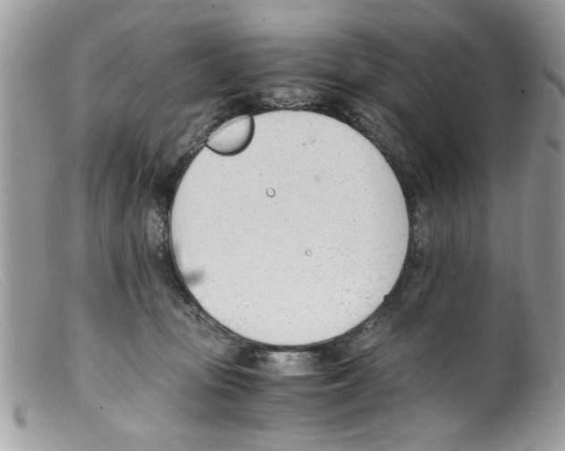 X0000098140371200805151146