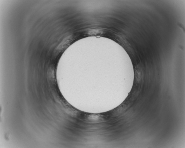 X0000098140375200805151146