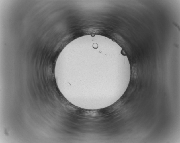 X0000098140377200805151146