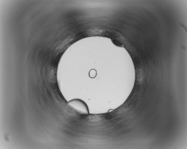 X0000098140378200805151146