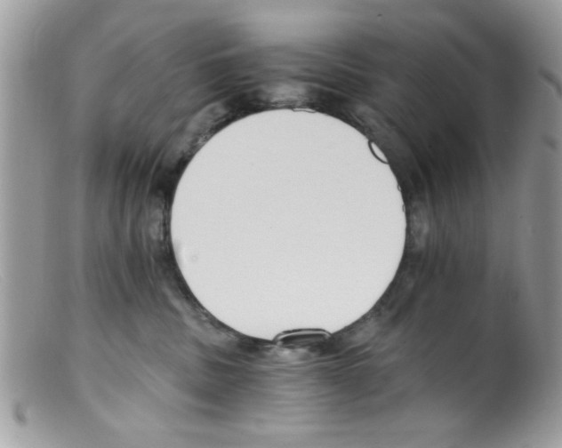 X0000098140379200805151146