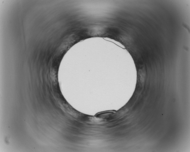 X0000098140380200805151146