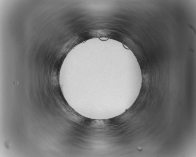 X0000098140381200805151146