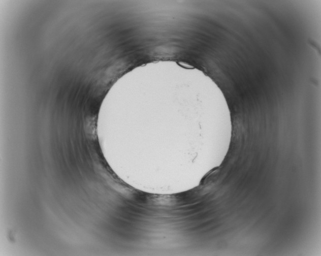 X0000098140383200805151146