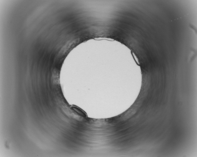 X0000098140384200805151146