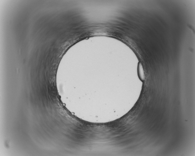 X0000098140385200805151145