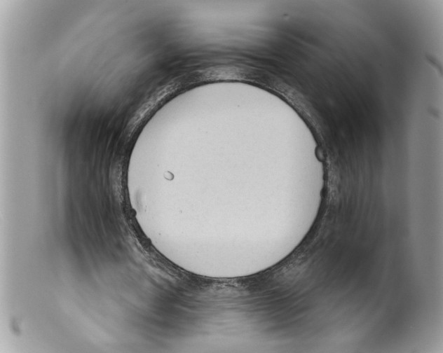 X0000098140386200805151145