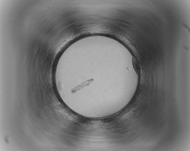 X0000098140391200805151145