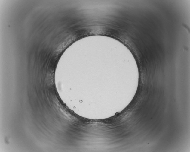 X0000098140393200805151145