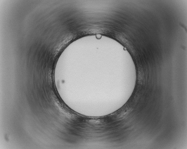 X0000098140394200805151145