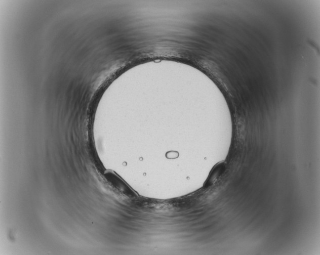 X0000098140395200805151145