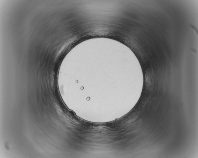 X0000098140396200805151145