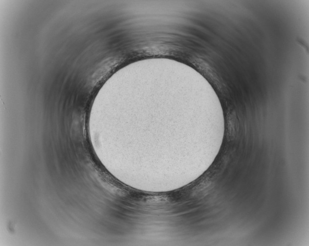 X0000098140398200805151145