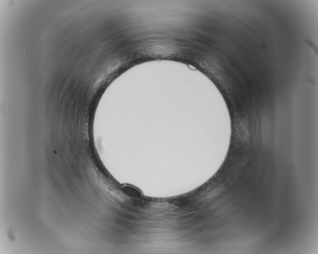 X0000098140399200805151145