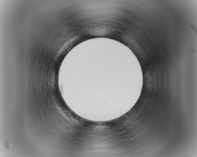 X0000098140400200805151145