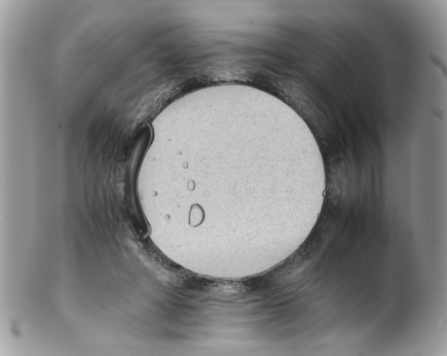 X0000098140402200805151145