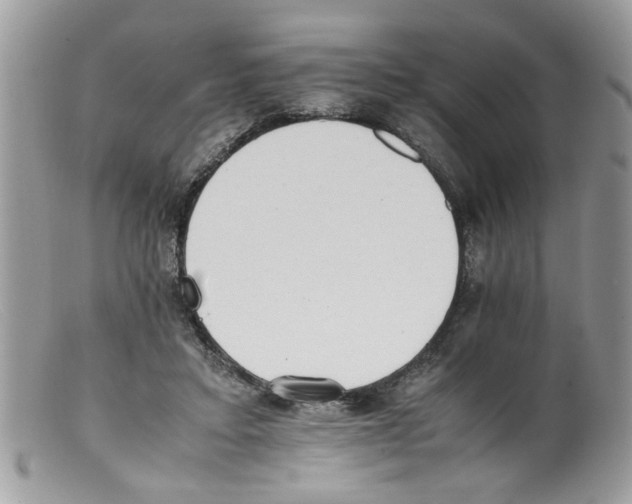 X0000098140403200805151145