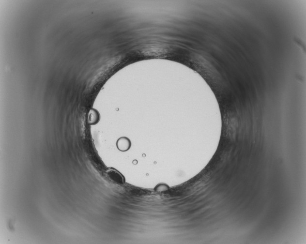 X0000098140404200805151145