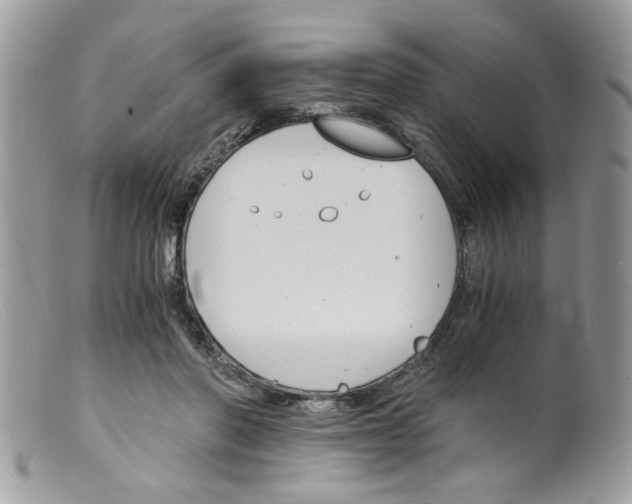 X0000098140406200805151145