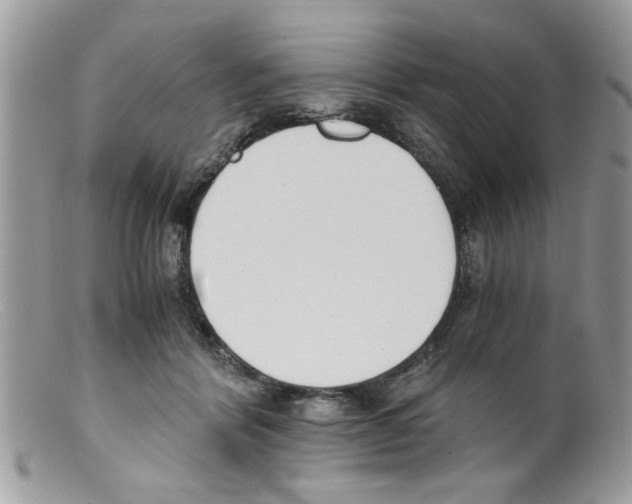 X0000098140412200805151145