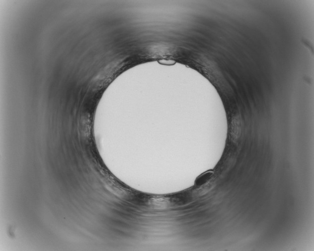 X0000098140413200805151145