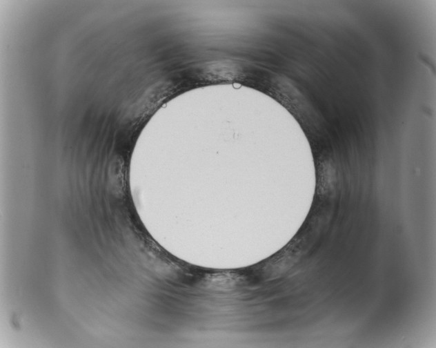 X0000098140414200805151145