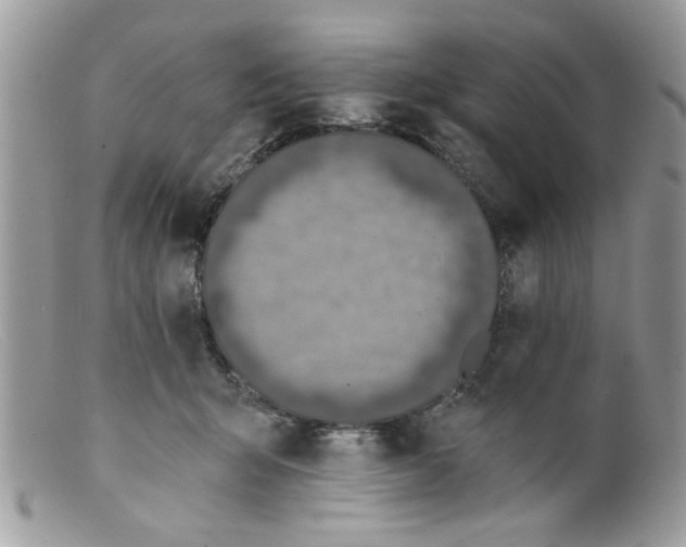 X0000098140415200805151145