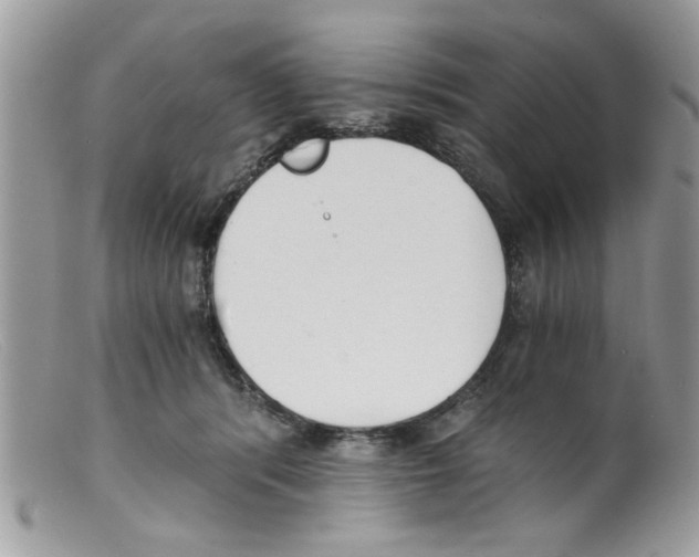 X0000098140416200805151145