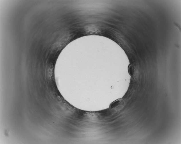 X0000098140417200805151145