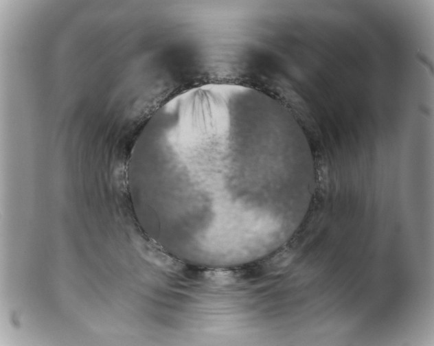 X0000098140419200805151145