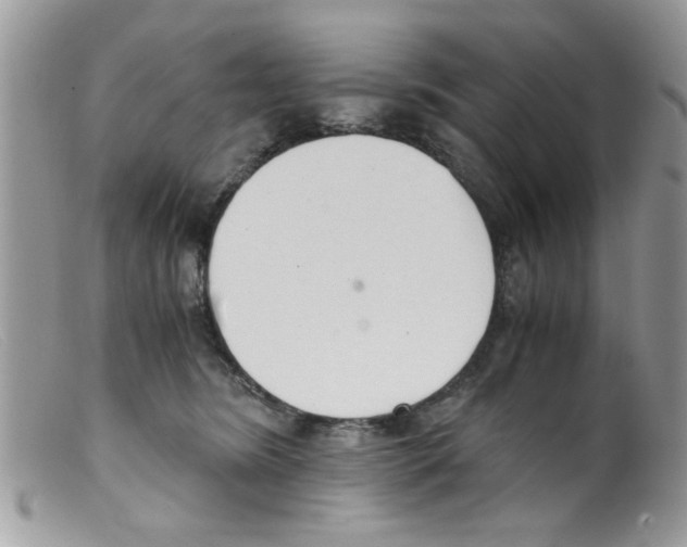 X0000098140420200805151145