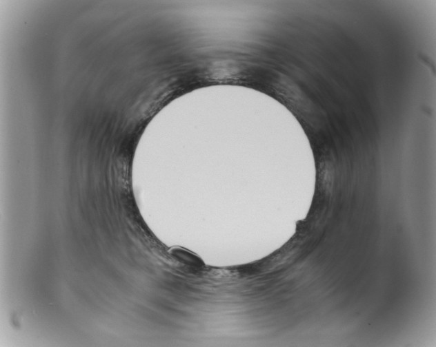 X0000098140421200805151145