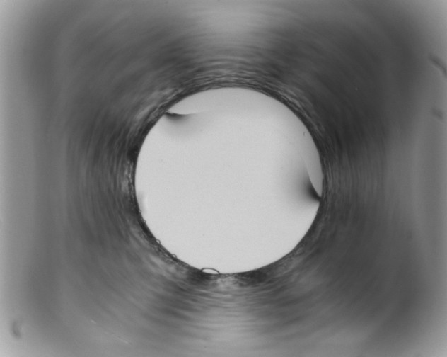 X0000098140423200805151145