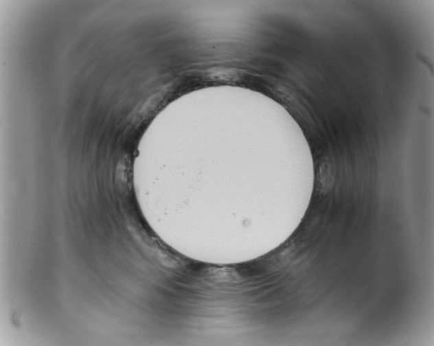 X0000098140424200805151145