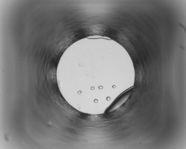 X0000098140425200805151145