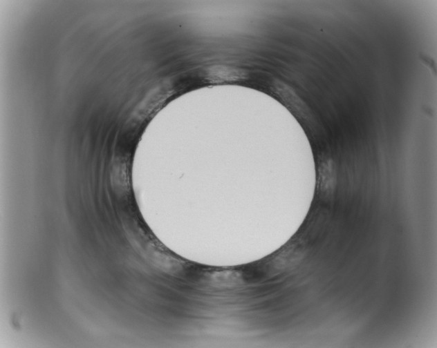 X0000098140426200805151145