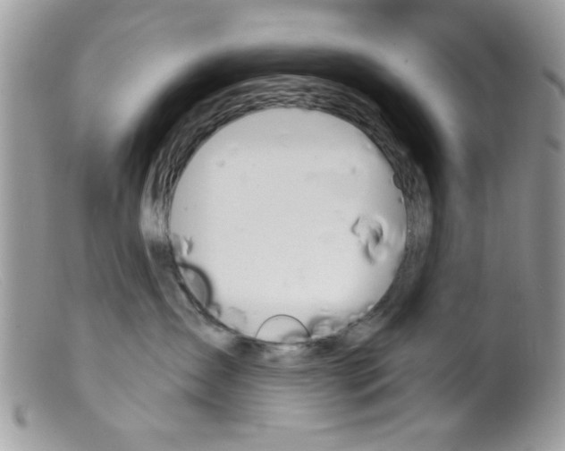 X0000098140431200805151145