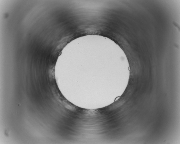 X0000098140432200805151145