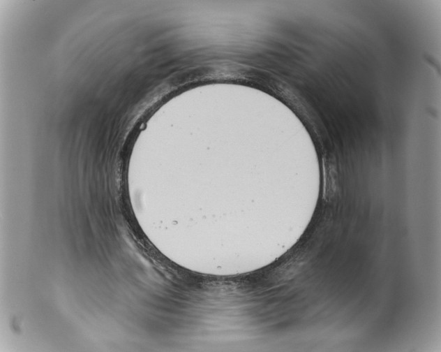 X0000098140435200805151144