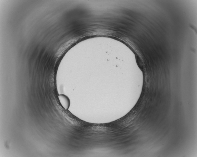 X0000098140437200805151144