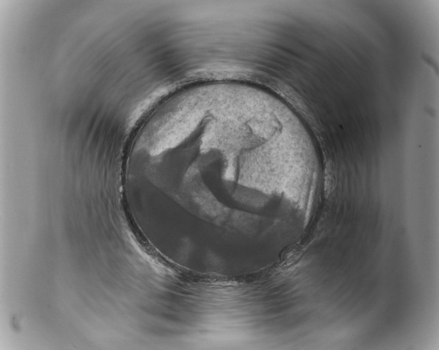 X0000098140438200805151144