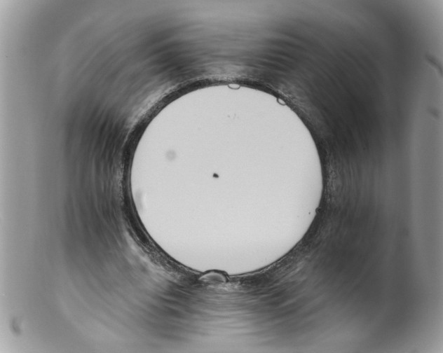 X0000098140440200805151144